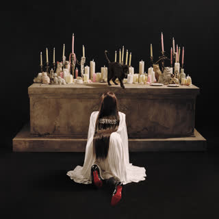 Cover13