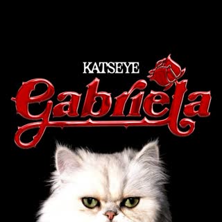 Cover37